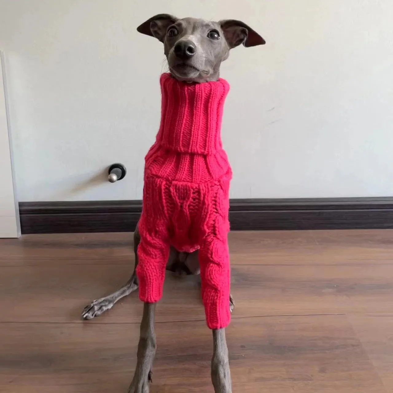Italian Greyhound Whippet Clothes - Turtleneck Sweater - Handmade Cozy Dog Sweater