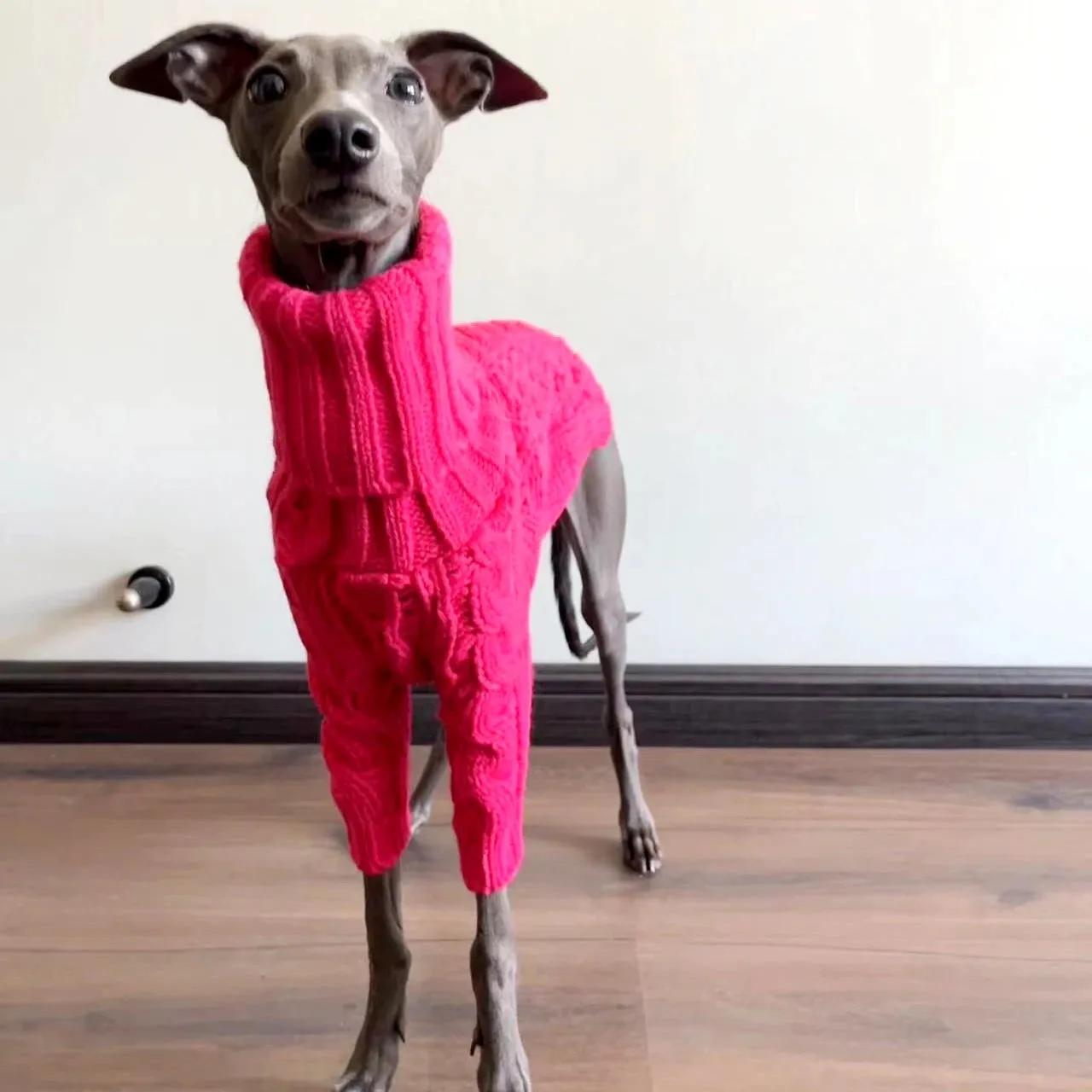 Italian Greyhound Whippet Clothes - Turtleneck Sweater - Handmade Cozy Dog Sweater