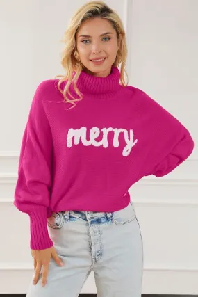 Merry Embroidered Knit Turtleneck Sweater