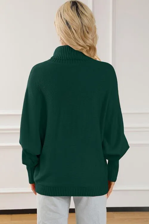 Merry Embroidered Knit Turtleneck Sweater