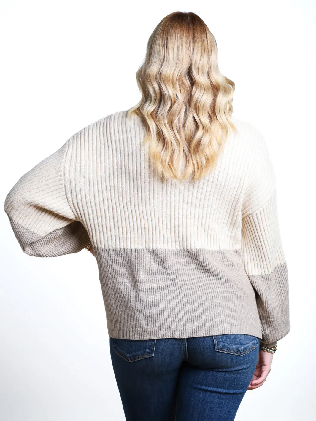 This Is Why Colorblock Turtleneck Sweater- Final Sale